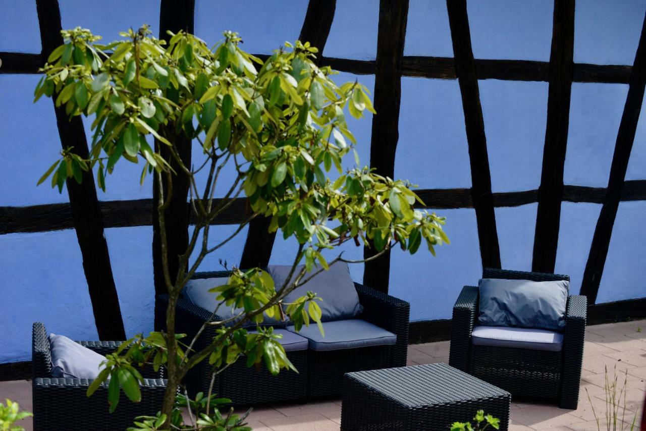 Le Clos Bleu - Gite Rural Schillersdorf Екстер'єр фото