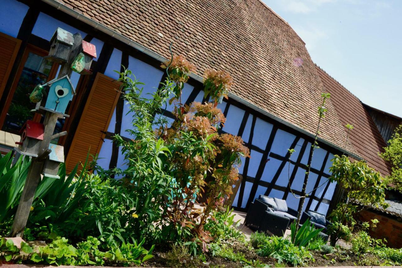 Le Clos Bleu - Gite Rural Schillersdorf Екстер'єр фото
